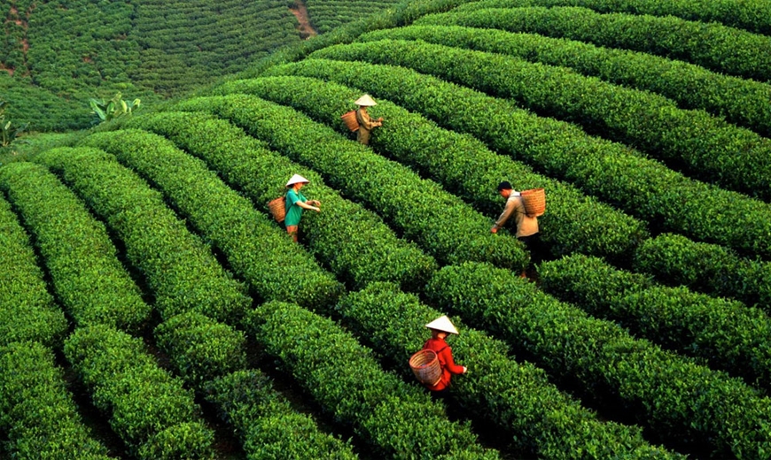 Khí hậu và thời tiết Thái Nguyên